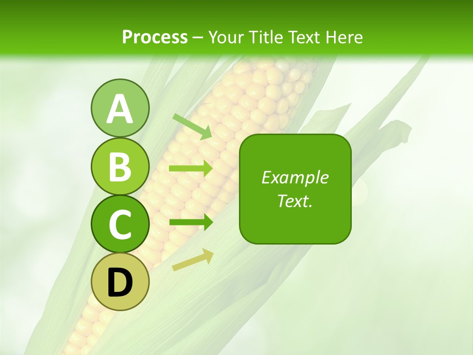 Food Bio Environmental PowerPoint Template