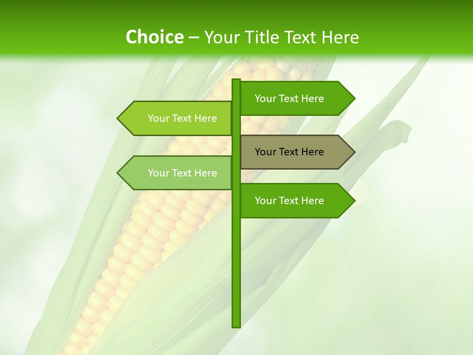 Food Bio Environmental PowerPoint Template