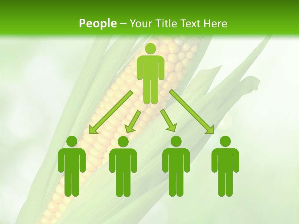 Food Bio Environmental PowerPoint Template