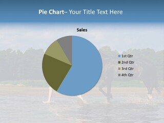 Field Water Sun PowerPoint Template