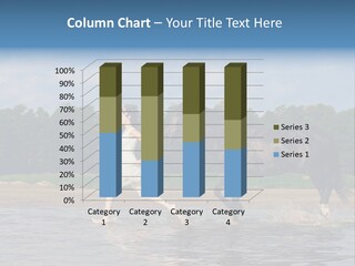 Field Water Sun PowerPoint Template