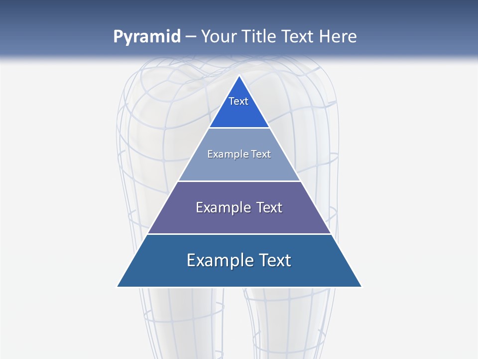 Healthy Anatomy Dental PowerPoint Template