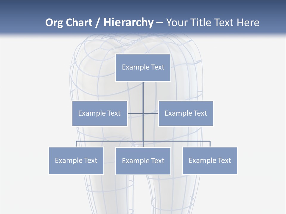 Healthy Anatomy Dental PowerPoint Template