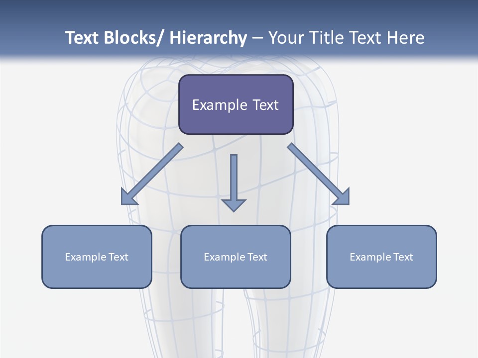 Healthy Anatomy Dental PowerPoint Template
