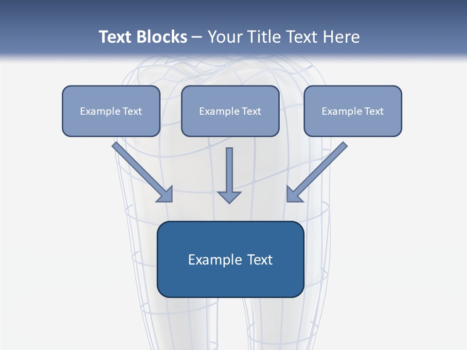 Healthy Anatomy Dental PowerPoint Template