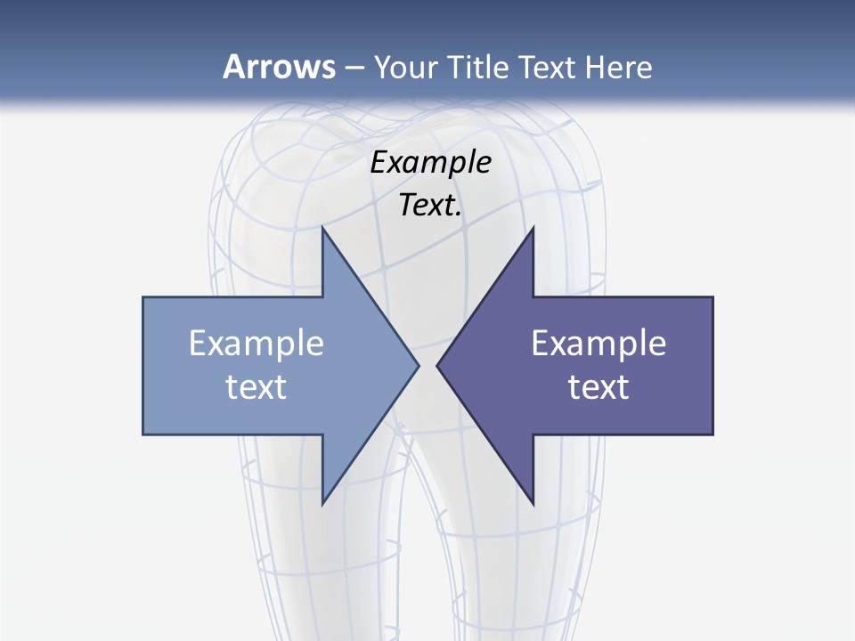 Healthy Anatomy Dental PowerPoint Template
