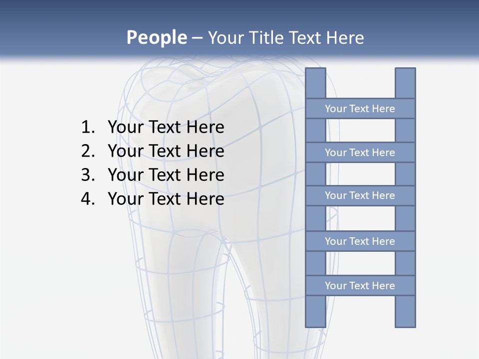 Healthy Anatomy Dental PowerPoint Template