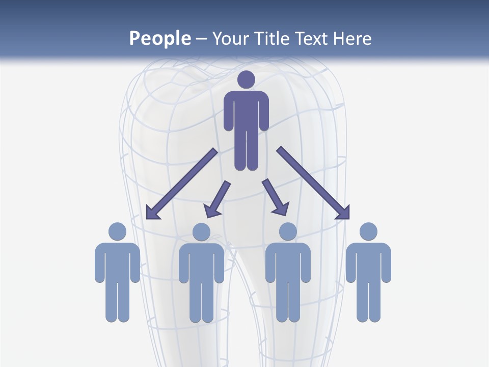 Healthy Anatomy Dental PowerPoint Template