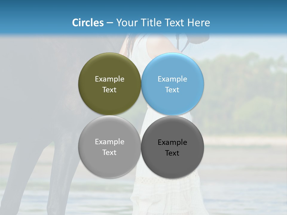 Sea Nature Wild PowerPoint Template