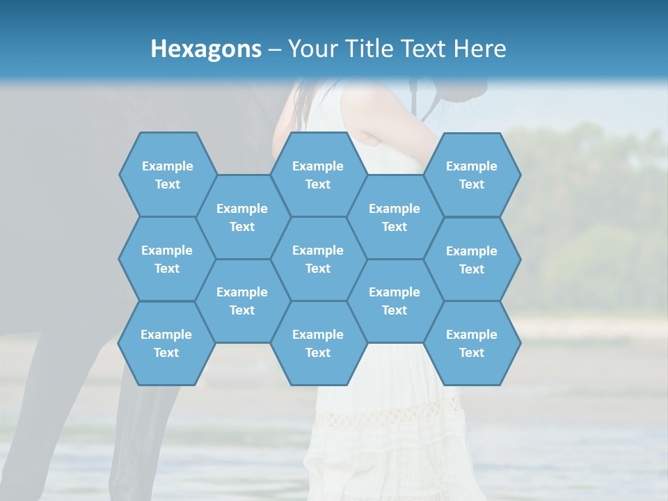 Sea Nature Wild PowerPoint Template