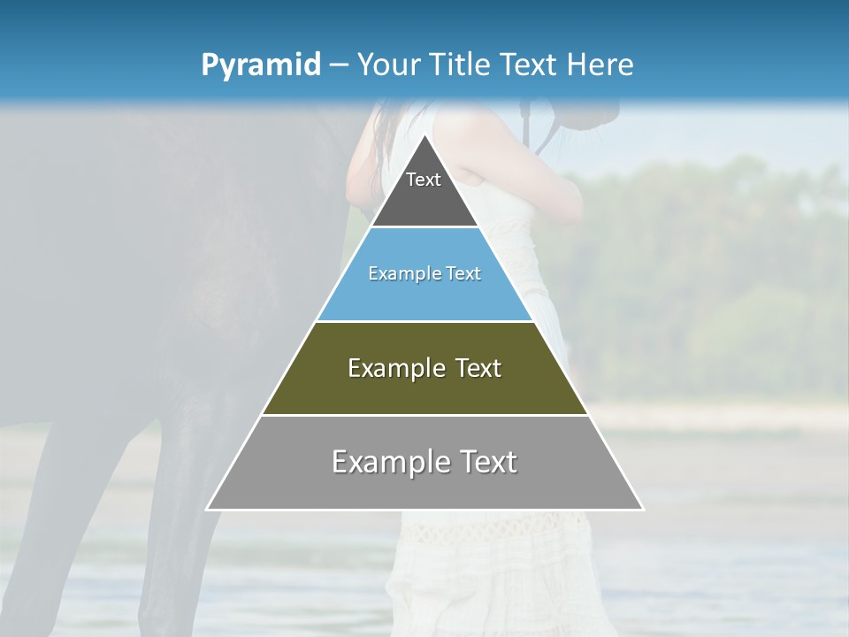 Sea Nature Wild PowerPoint Template