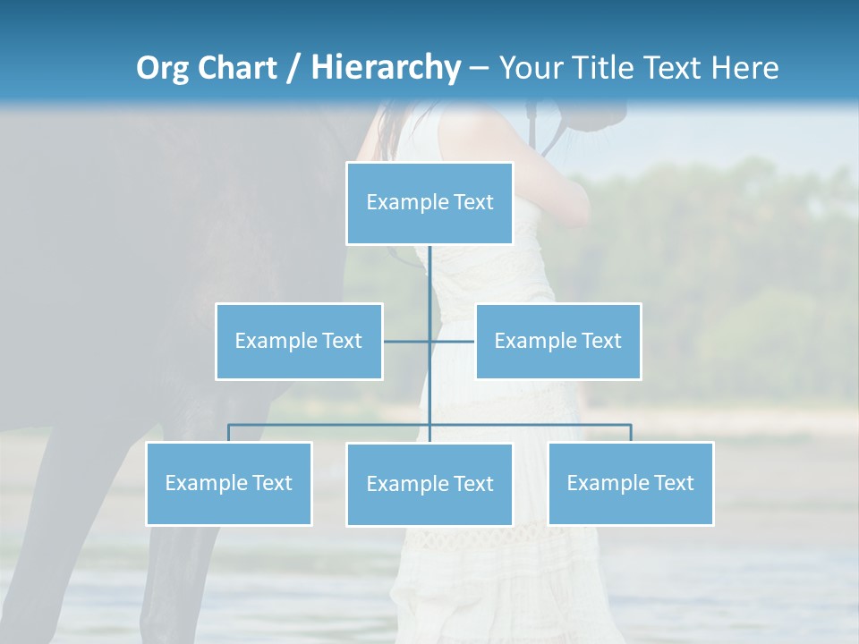 Sea Nature Wild PowerPoint Template