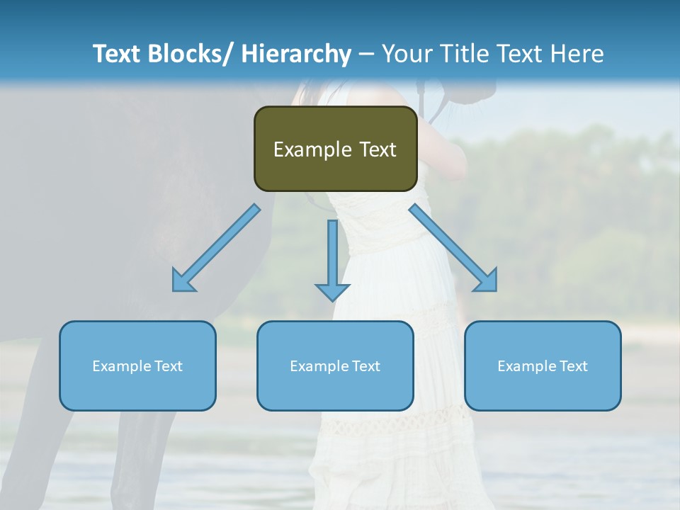 Sea Nature Wild PowerPoint Template