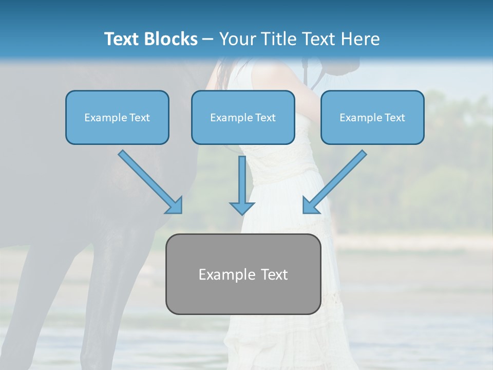 Sea Nature Wild PowerPoint Template