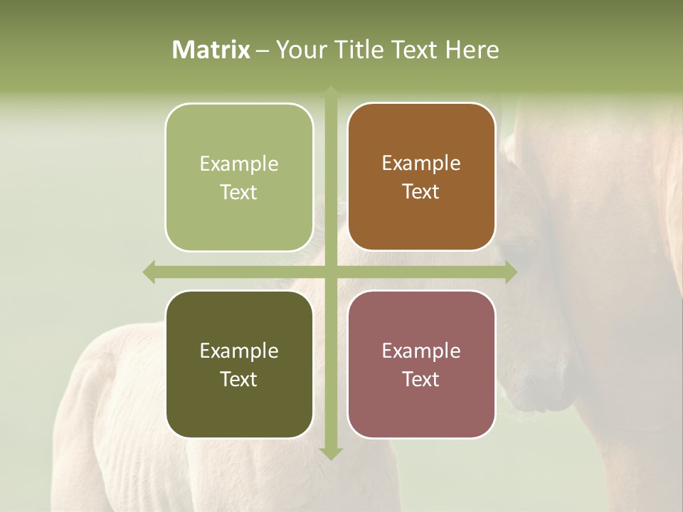 Mare Race Nature PowerPoint Template