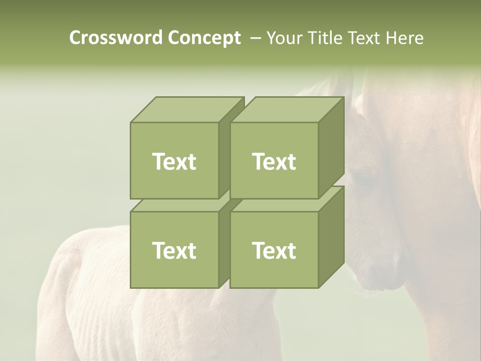 Mare Race Nature PowerPoint Template