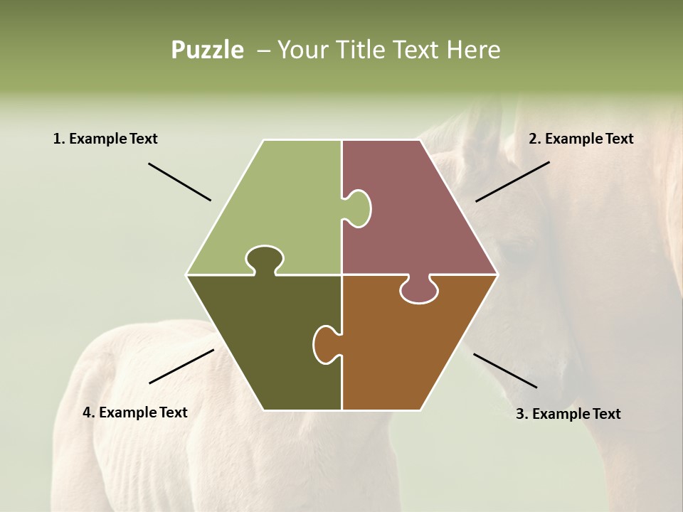 Mare Race Nature PowerPoint Template