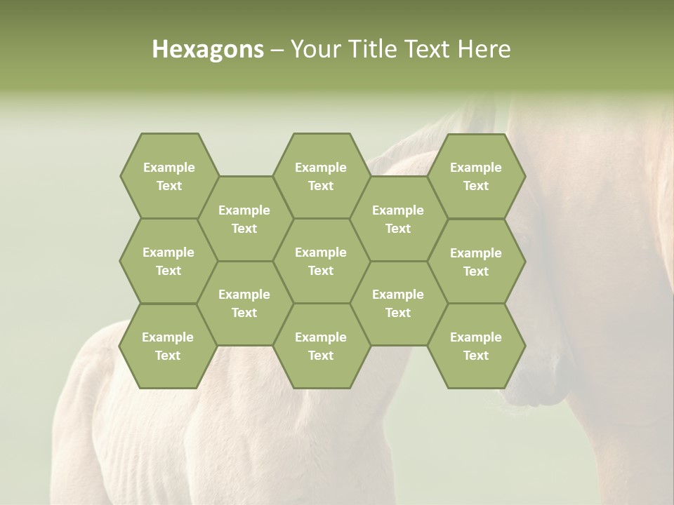 Mare Race Nature PowerPoint Template