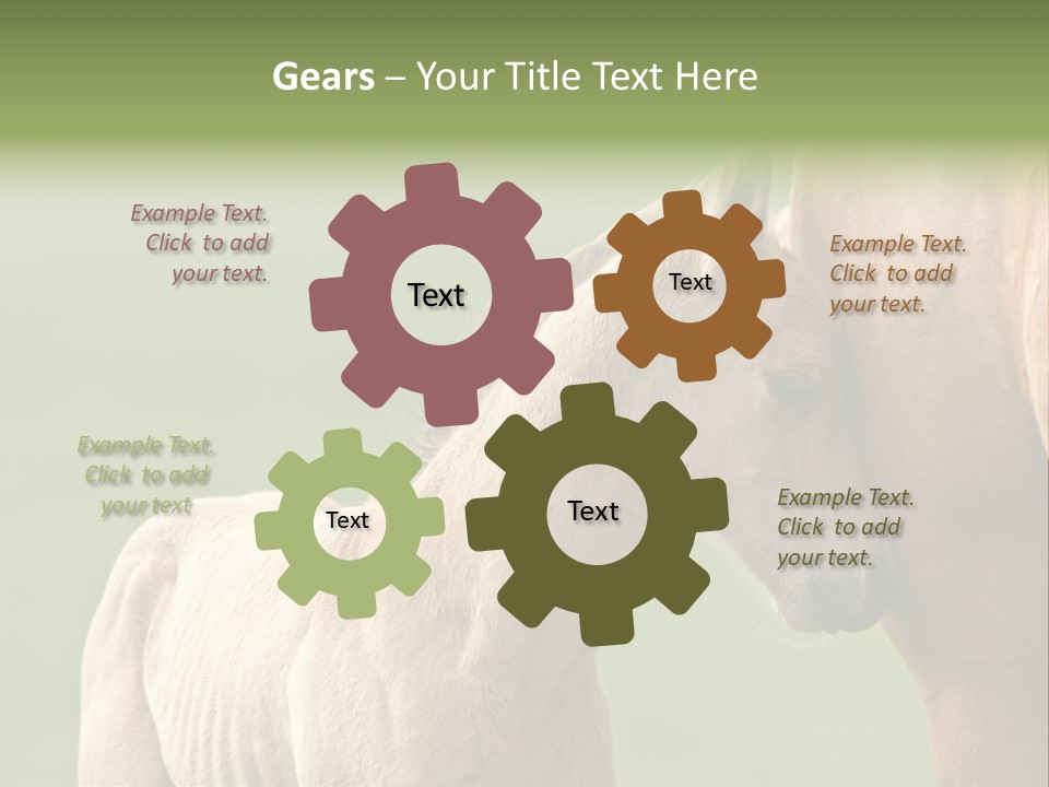 Mare Race Nature PowerPoint Template