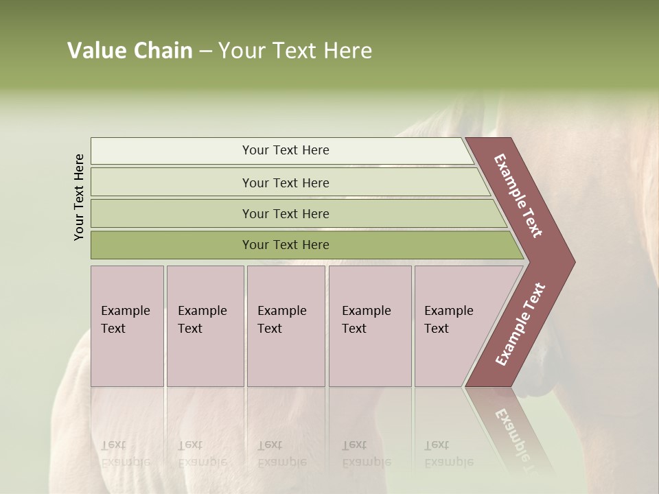 Mare Race Nature PowerPoint Template