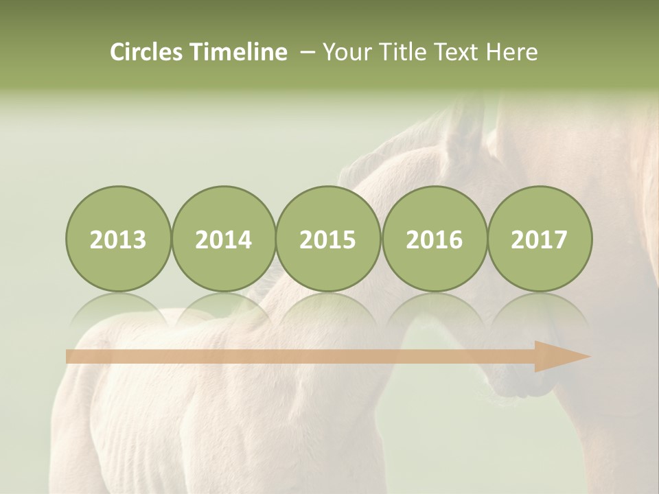 Mare Race Nature PowerPoint Template