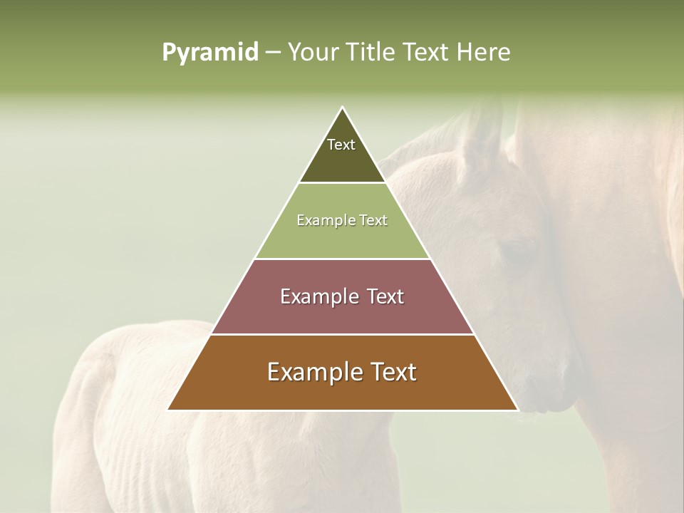 Mare Race Nature PowerPoint Template