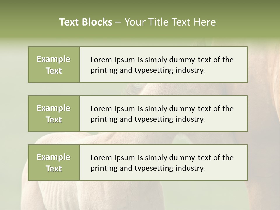 Mare Race Nature PowerPoint Template