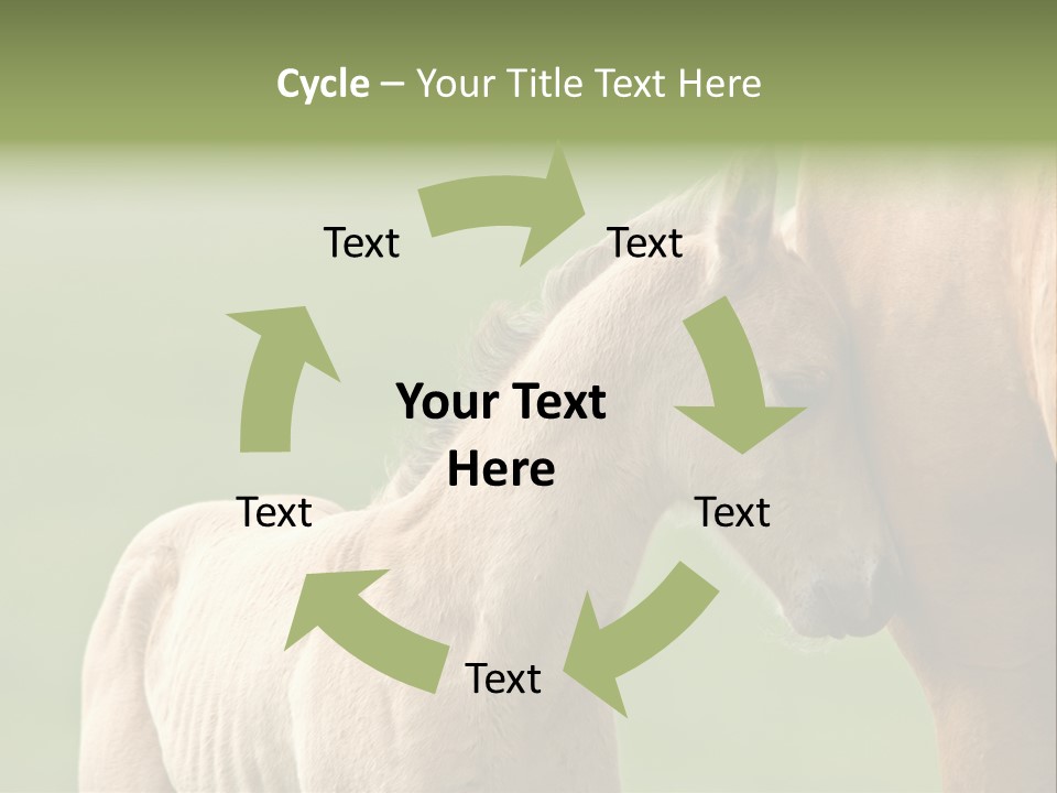 Mare Race Nature PowerPoint Template