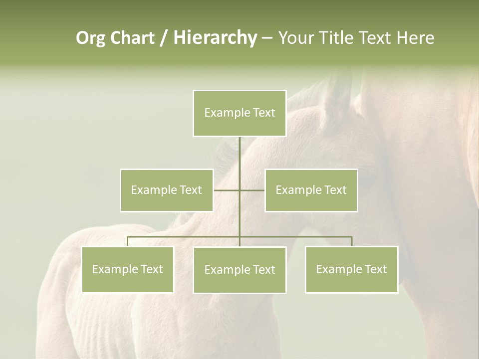 Mare Race Nature PowerPoint Template