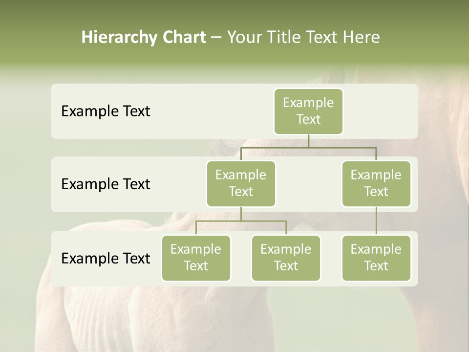Mare Race Nature PowerPoint Template