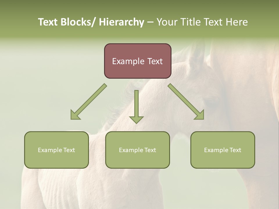 Mare Race Nature PowerPoint Template