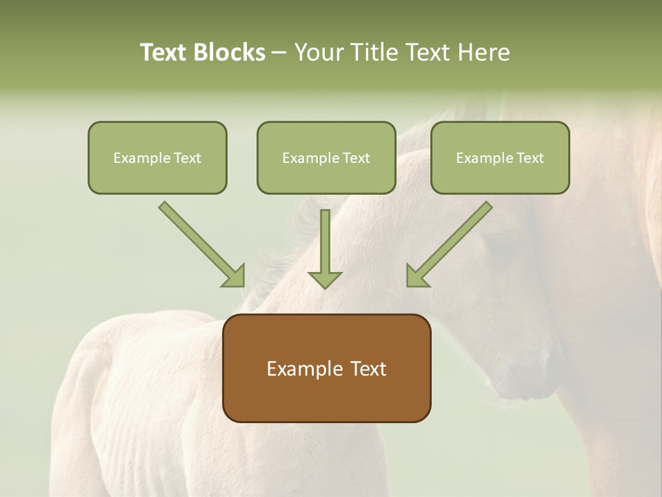 Mare Race Nature PowerPoint Template