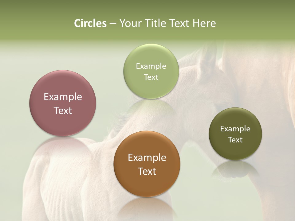 Mare Race Nature PowerPoint Template