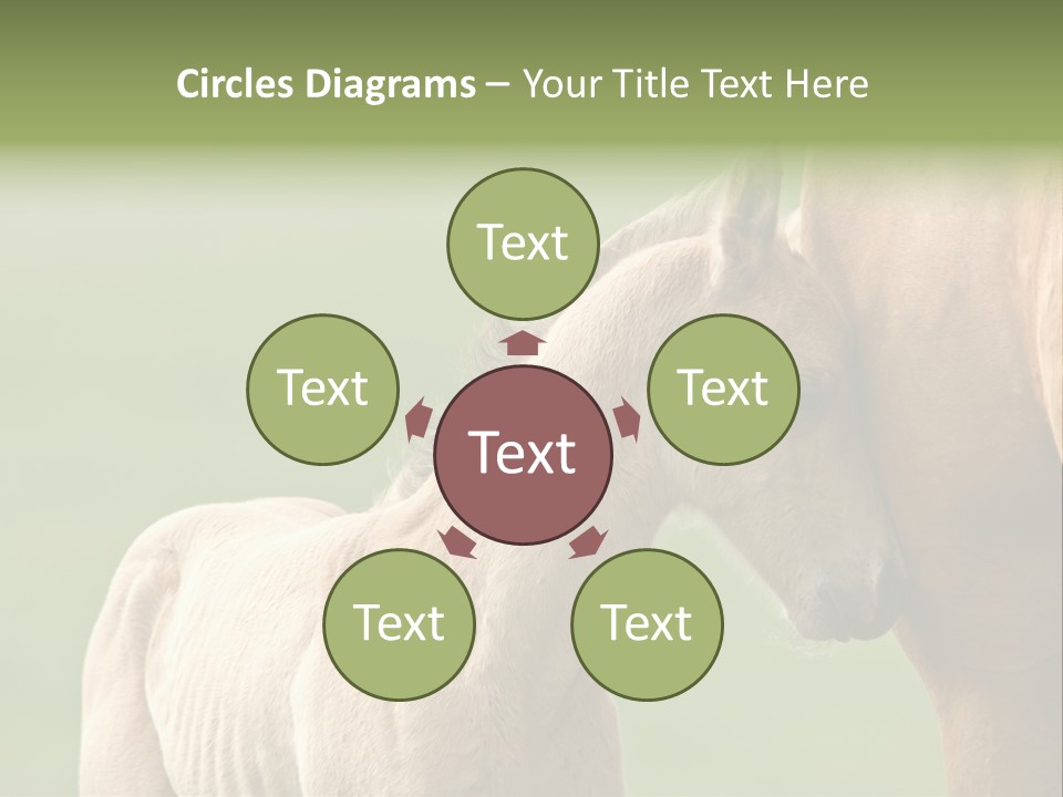 Mare Race Nature PowerPoint Template