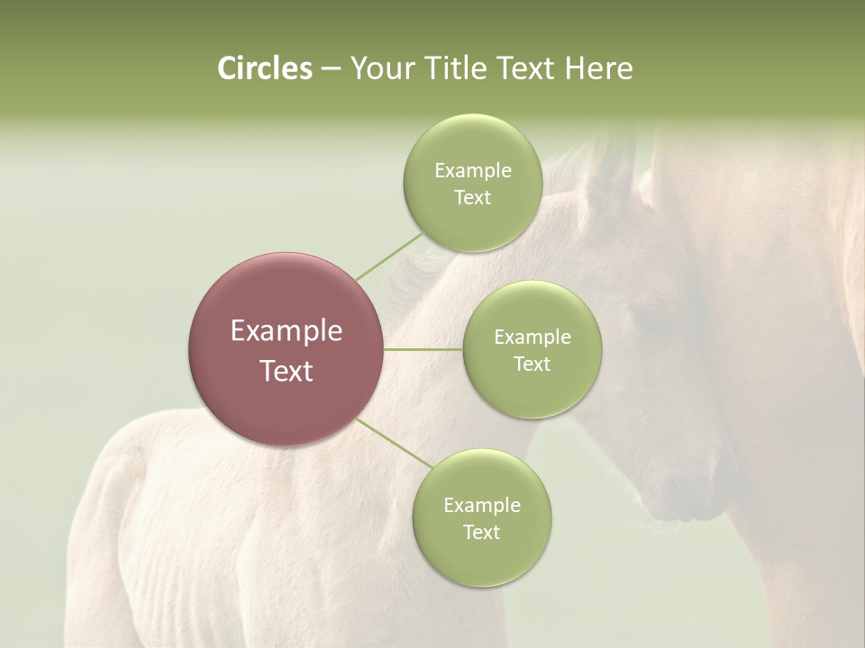Mare Race Nature PowerPoint Template