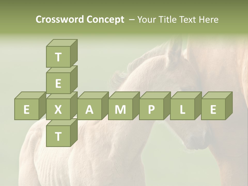 Mare Race Nature PowerPoint Template