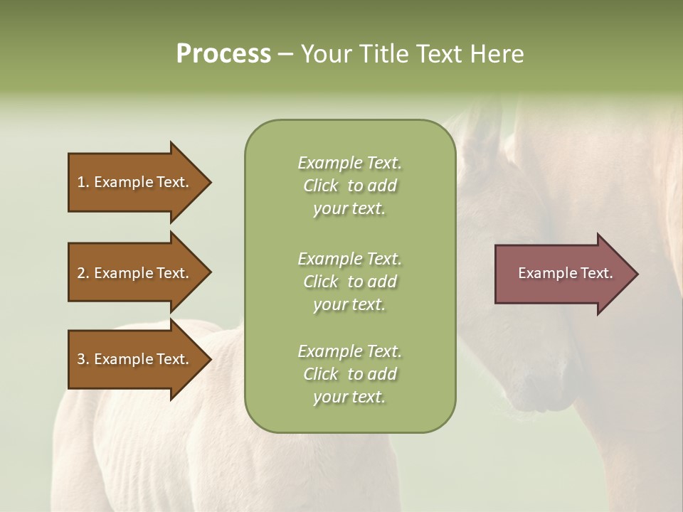 Mare Race Nature PowerPoint Template