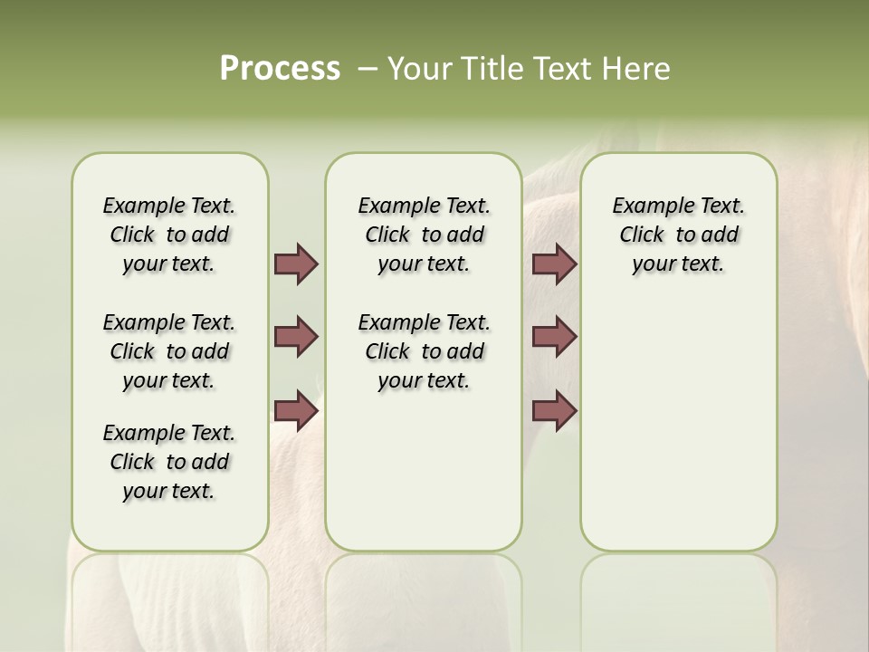 Mare Race Nature PowerPoint Template