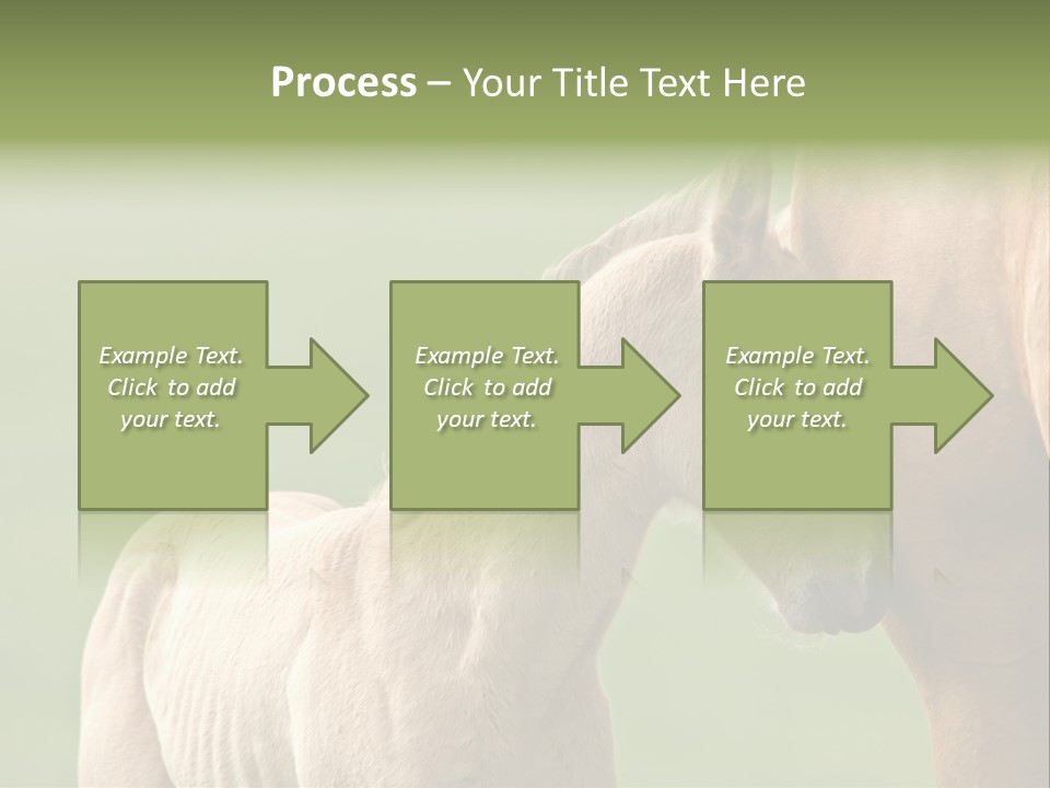 Mare Race Nature PowerPoint Template