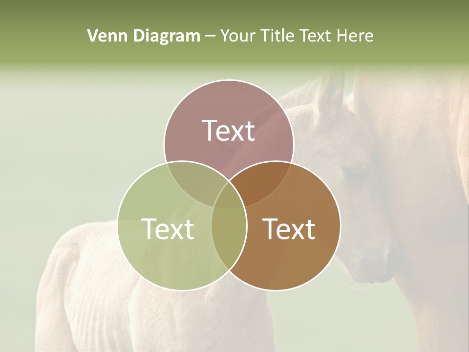 Mare Race Nature PowerPoint Template