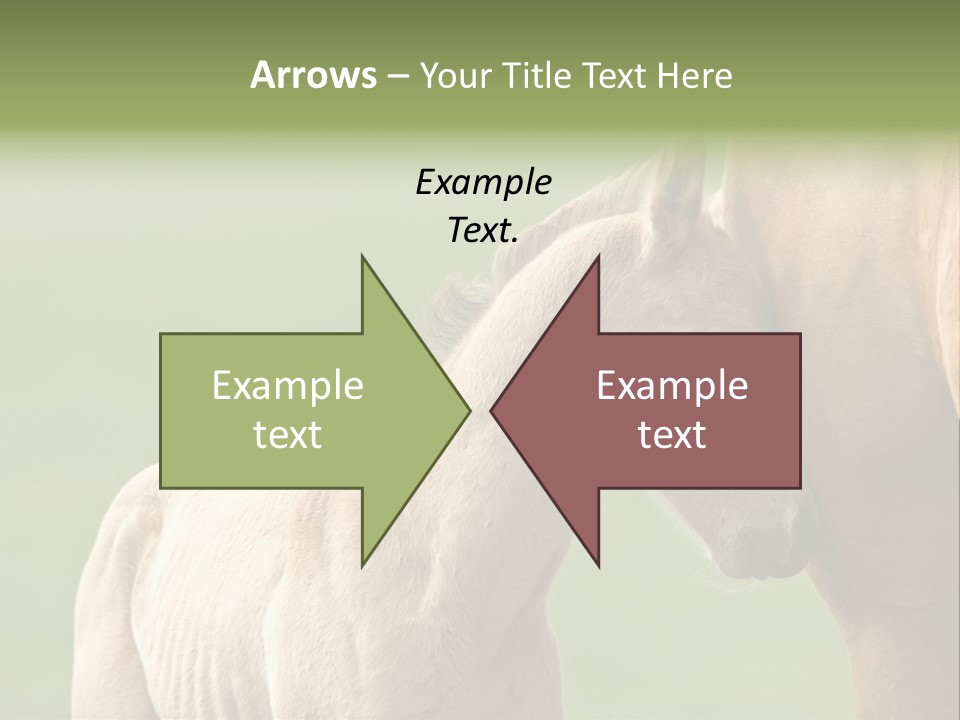 Mare Race Nature PowerPoint Template