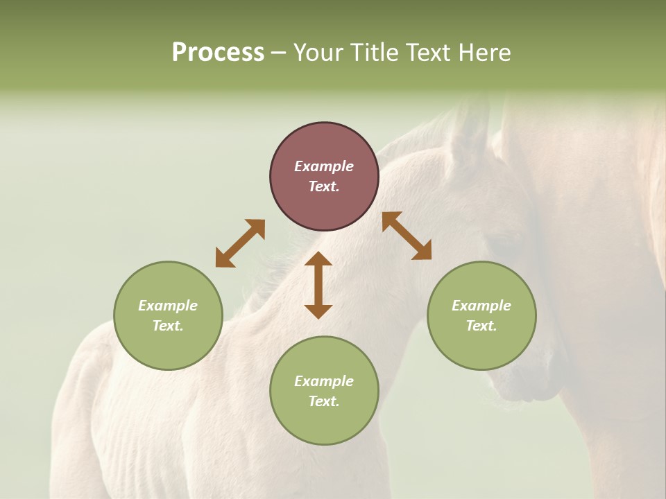 Mare Race Nature PowerPoint Template