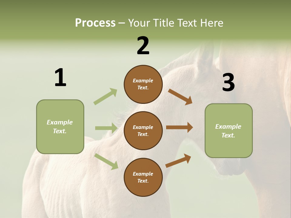 Mare Race Nature PowerPoint Template