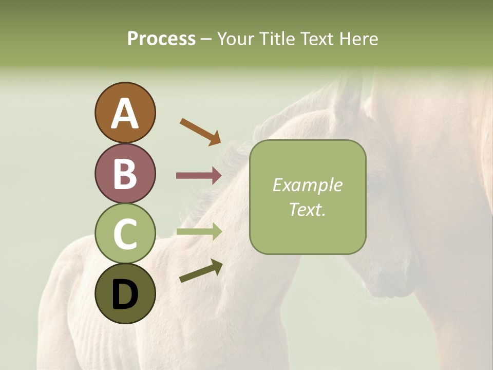 Mare Race Nature PowerPoint Template