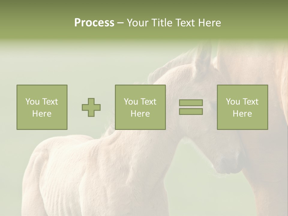 Mare Race Nature PowerPoint Template