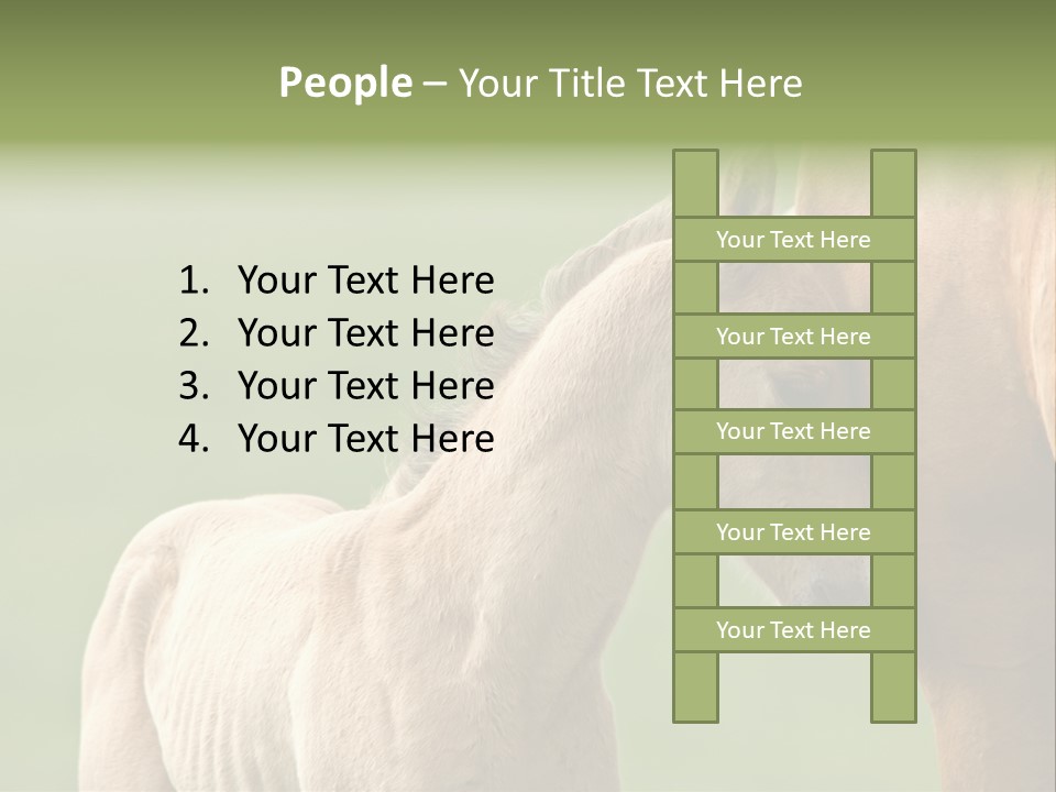 Mare Race Nature PowerPoint Template