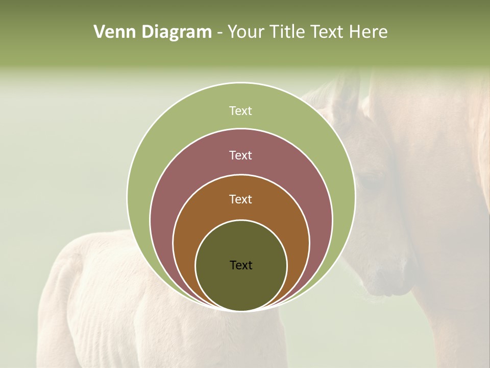 Mare Race Nature PowerPoint Template