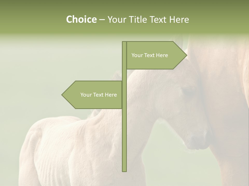 Mare Race Nature PowerPoint Template
