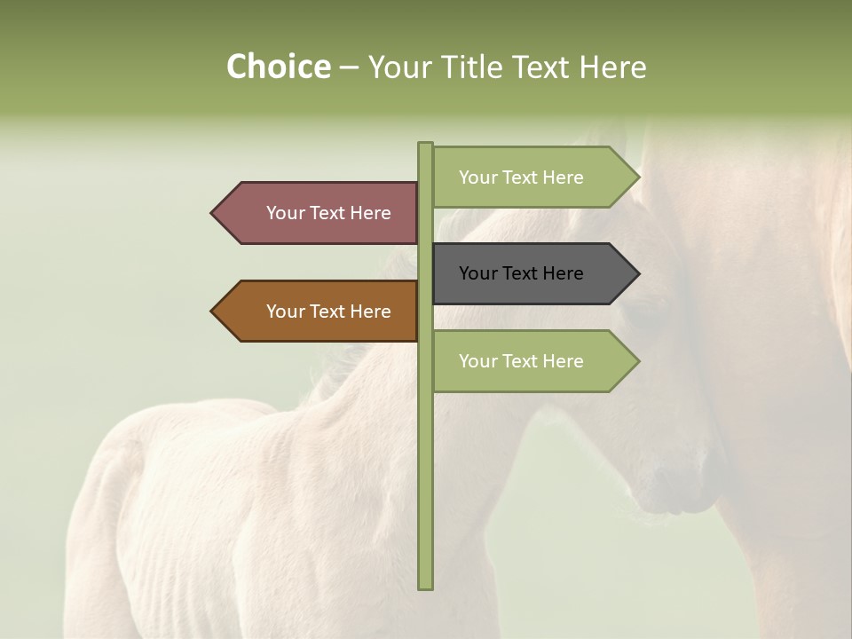 Mare Race Nature PowerPoint Template