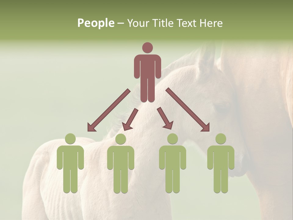 Mare Race Nature PowerPoint Template